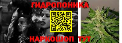 прущие крисы Пугачёв