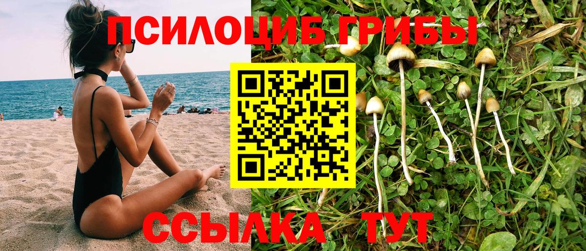 Псилоцибиновые грибы ЛСД Усть-Джегута