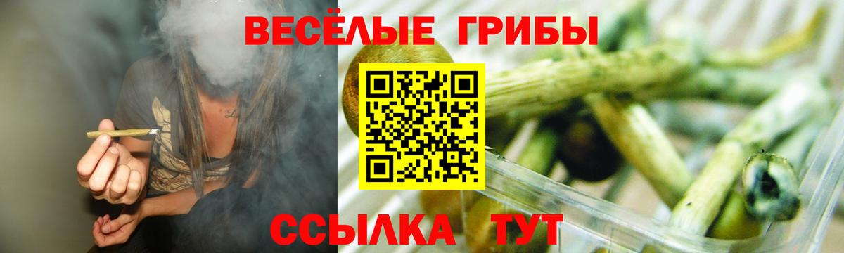 Псилоцибиновые грибы Magic Shrooms  Вход с VPN  Галлюциногенные грибы Psilocybine cubensis  Усть-Джегута 