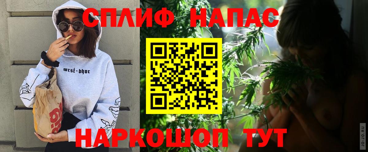 Каннабис индика Усть-Джегута